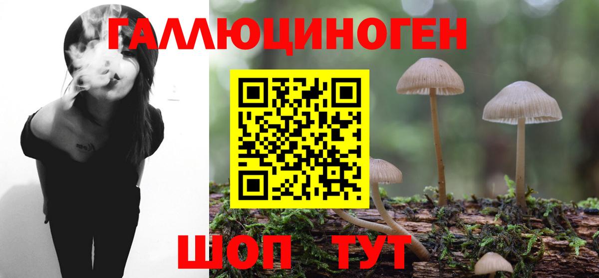 Псилоцибиновые грибы Cubensis Люберцы