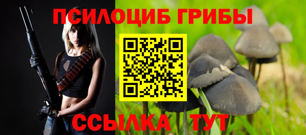 Люберцы  Псилоцибиновые грибы Cubensis  магазин    Галлюциногенные грибы MAGIC MUSHROOMS  Вход с VPN 